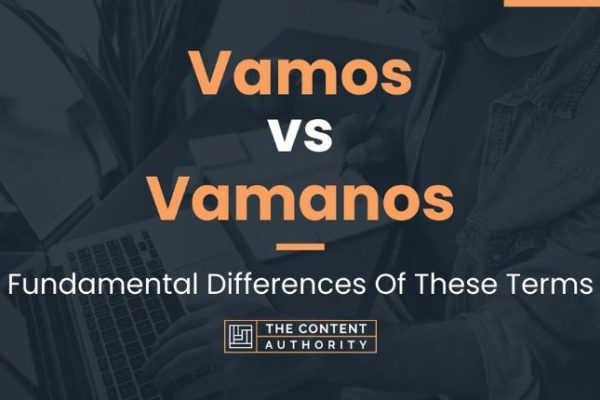 vamos meaning